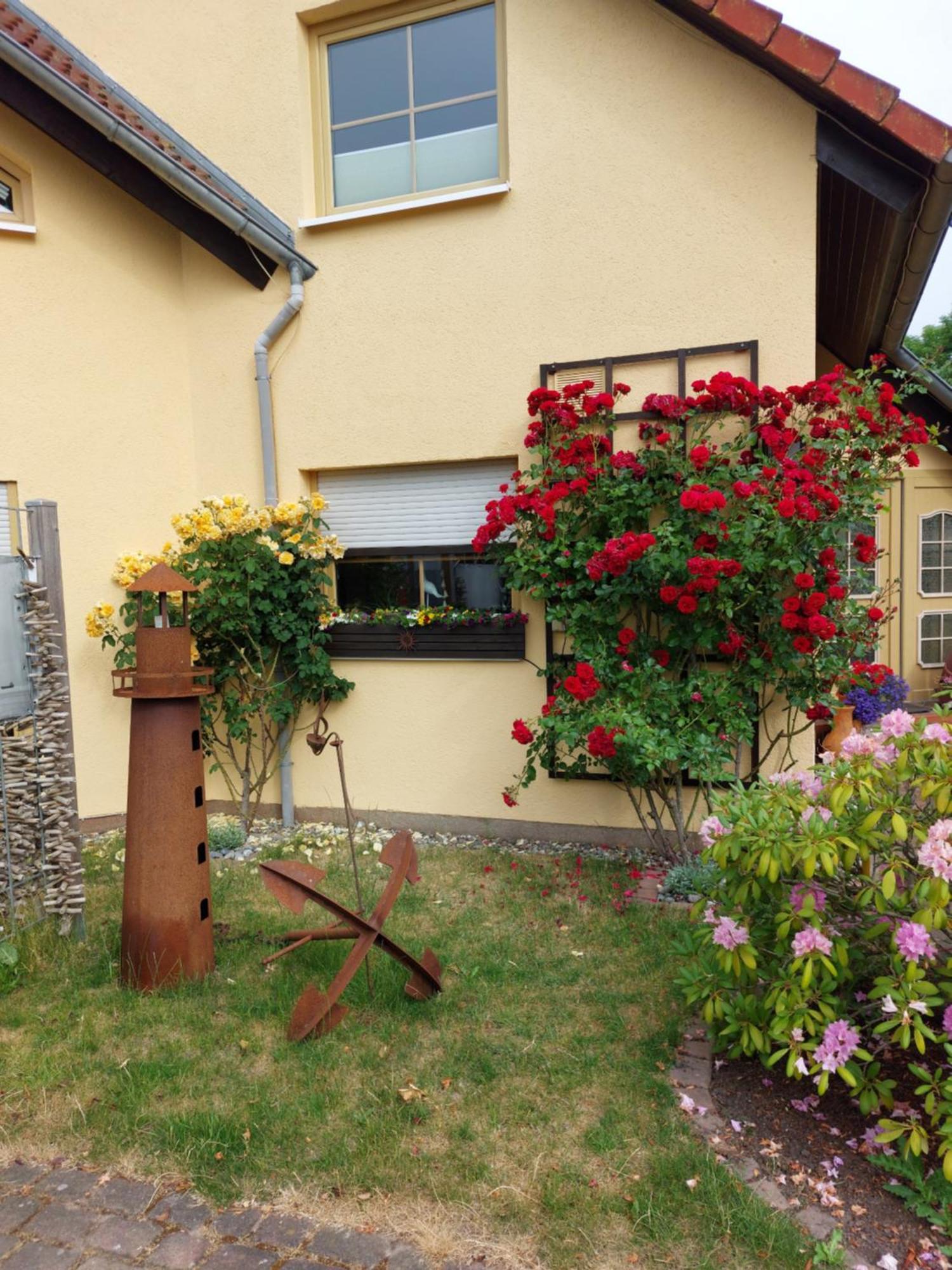 Ostseeferien In Lichtenhagen-Dorf Ferienwohnung Elmenhorst/Lichtenhagen المظهر الخارجي الصورة