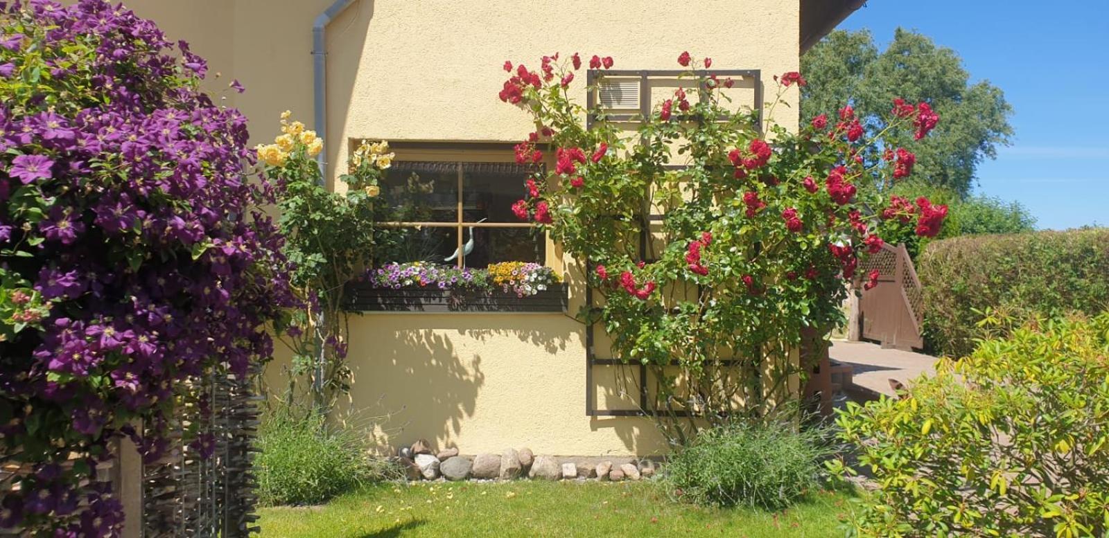 Ostseeferien In Lichtenhagen-Dorf Ferienwohnung Elmenhorst/Lichtenhagen المظهر الخارجي الصورة