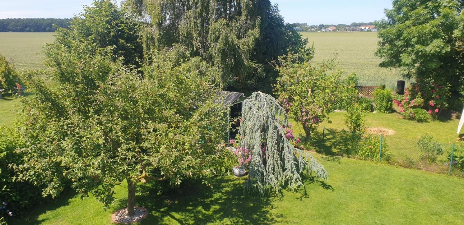Ostseeferien In Lichtenhagen-Dorf Ferienwohnung Elmenhorst/Lichtenhagen المظهر الخارجي الصورة