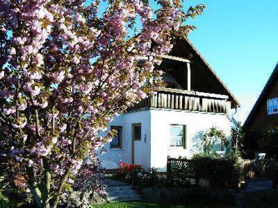 Ostseeferien In Lichtenhagen-Dorf Ferienwohnung Elmenhorst/Lichtenhagen المظهر الخارجي الصورة