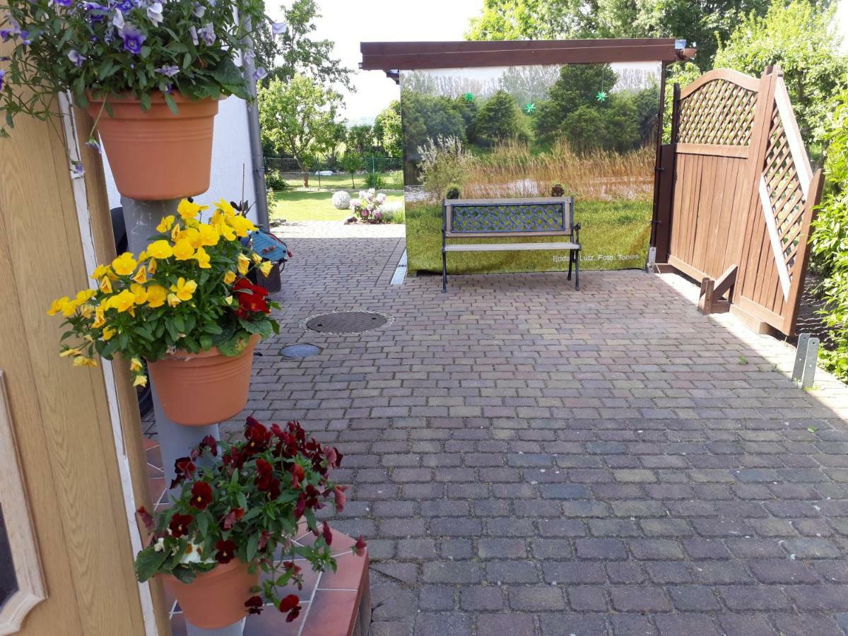 Ostseeferien In Lichtenhagen-Dorf Ferienwohnung Elmenhorst/Lichtenhagen المظهر الخارجي الصورة