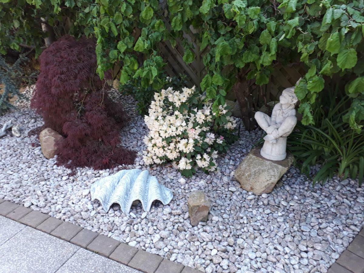 Ostseeferien In Lichtenhagen-Dorf Ferienwohnung Elmenhorst/Lichtenhagen المظهر الخارجي الصورة